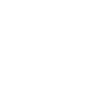 Magento Advanced Reports